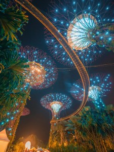 617922855_1391417686361678_3388962651329884475_n