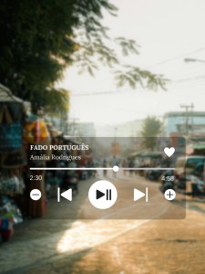 631516447_1412312154272231_3427422124704226720_n